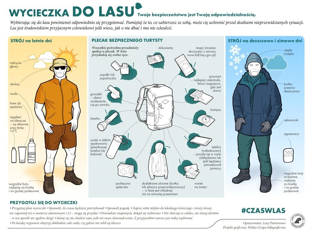 Infografika wycieczka do lasu