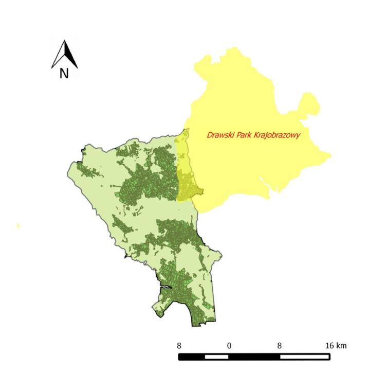 Nadleśnictwo Złocieniec na tle Drawskiego Parku Krajobrazowego