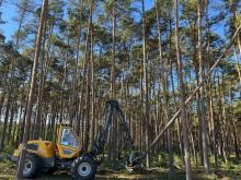 uruchomienie postępowania przetargowego prowadzonego w trybie dynamicznego systemu zakupów pn. „Wykonywanie usług z zakresu gospodarki leśnej na terenie Nadleśnictw Niedźwiady i Osusznica”