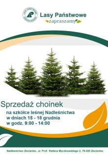 Sprzedaż choinek
